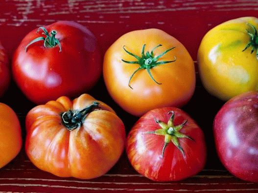 Tomates se encaixam perfeitamente em qualquer prato e são especialmente bons em saladas caprese ou gaspacho frio