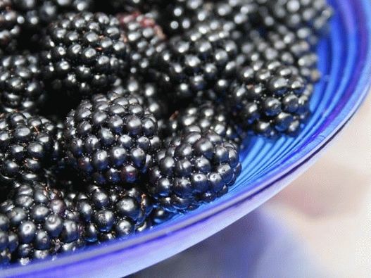 Blackberry dá um sabor doce e textura de luxo para café da manhã e sobremesas