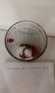 Borsch no caldo de galinha