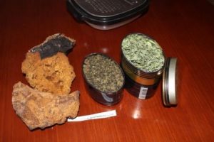 Chá Chaga