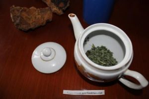 Chá Chaga