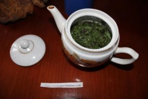 Chá Chaga