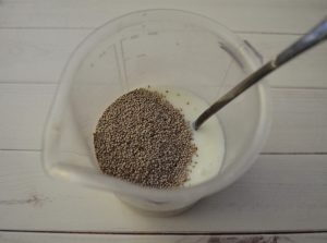 Pudim de morango Chia