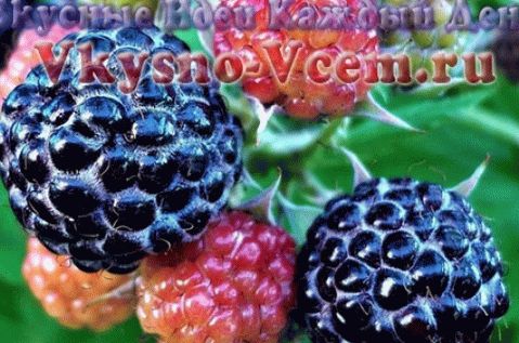 Blackberry no seu próprio suco
