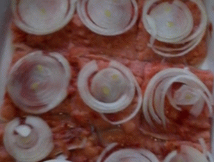 Salmão rosa com um casaco de pele