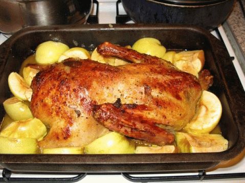 Como cozinhar pato no forno