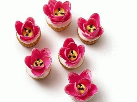 Cupcakes de fotos