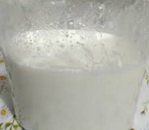 Kefir em um fabricante de iogurte