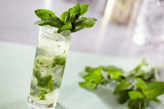 Cocktail de fotos
