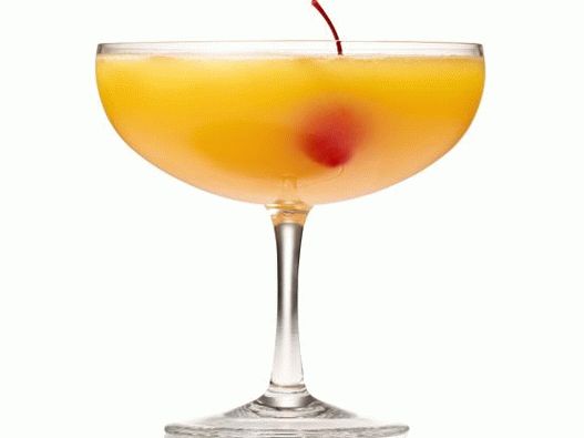 Cocktail de fotos