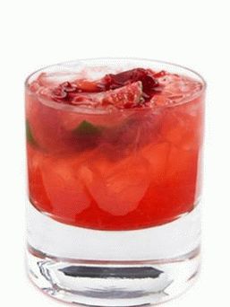 Cocktail de fotos