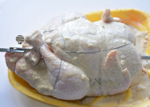 Frango grelhado no forno
