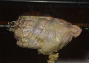 Frango grelhado no forno