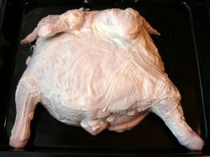 Frango Secreto