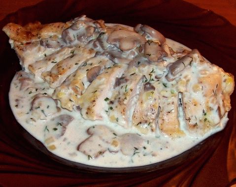Frango com creme de leite - receitas para todos os dias