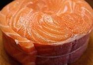 Salmão