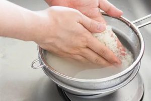 Sopa de Arroz com Leite