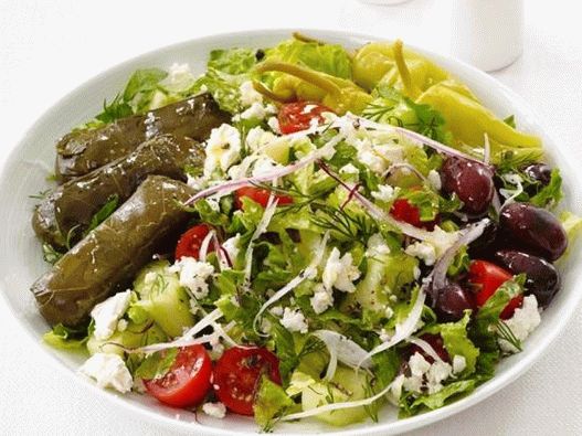 Pratos fotográficos - salada grega com dolmades
