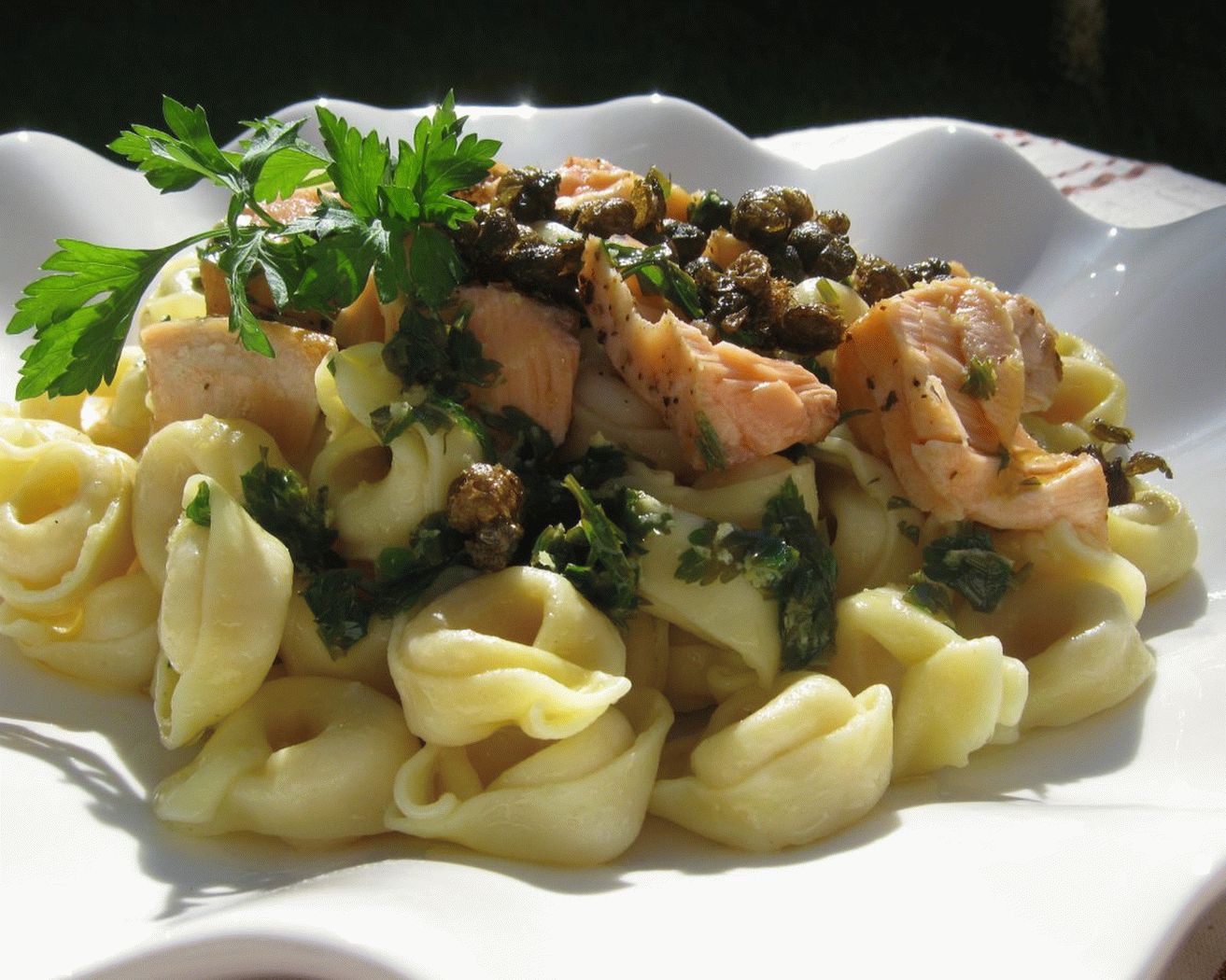 Macarrão Salmão