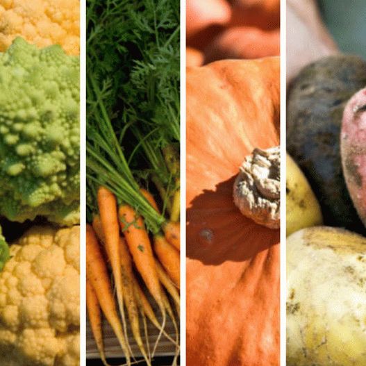 Receitas de fotos de vegetais frescos de outono