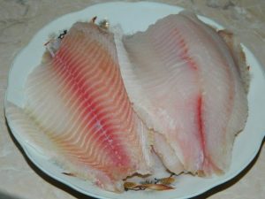 Peixe com um casaco de pele