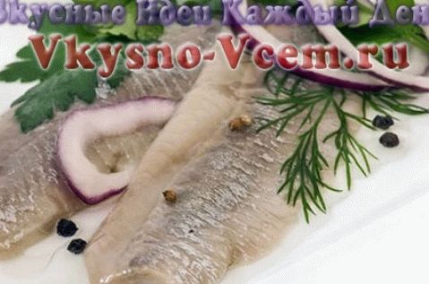 Receitas caseiras de conservas de peixe