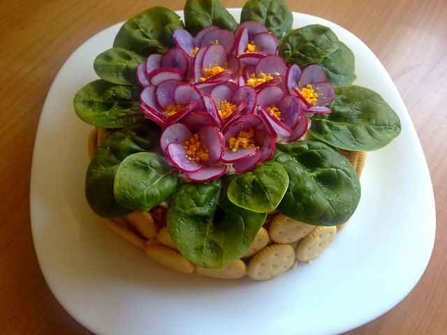 Salada Violeta