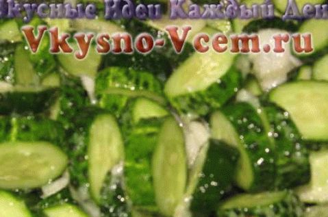 Tarhun Pepino Salada