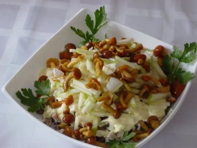 Salada de mel agaric com rabanete