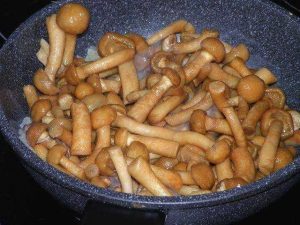 Salada de mel agaric com rabanete
