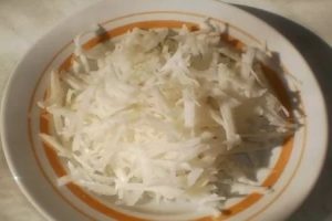 Salada de mel agaric com rabanete