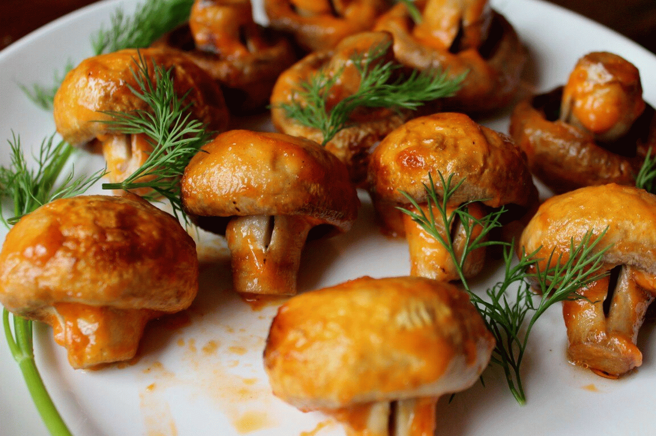 Champignons em uma inclinação