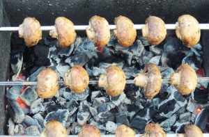 Champignons em uma inclinação