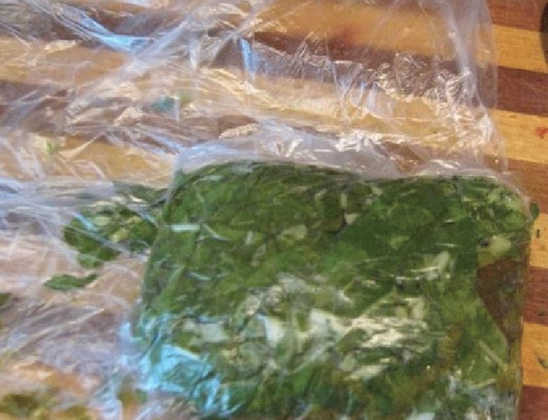 Sorrel para o inverno sem sal
