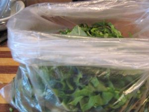 Sorrel para o inverno sem sal