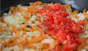 Sopa de couve acelga