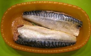 Cavala norueguesa