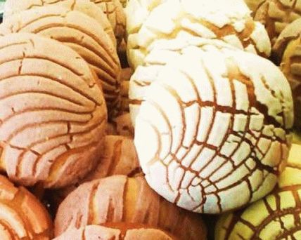 Pan Dulce Mexican Pães, variedade Conchas