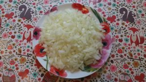 Goulash de soja