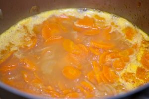 Sopa "Stapilo"