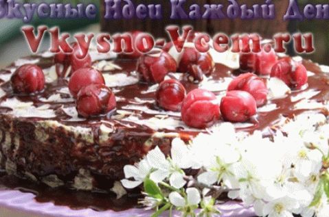 bolo de cereja de pássaro