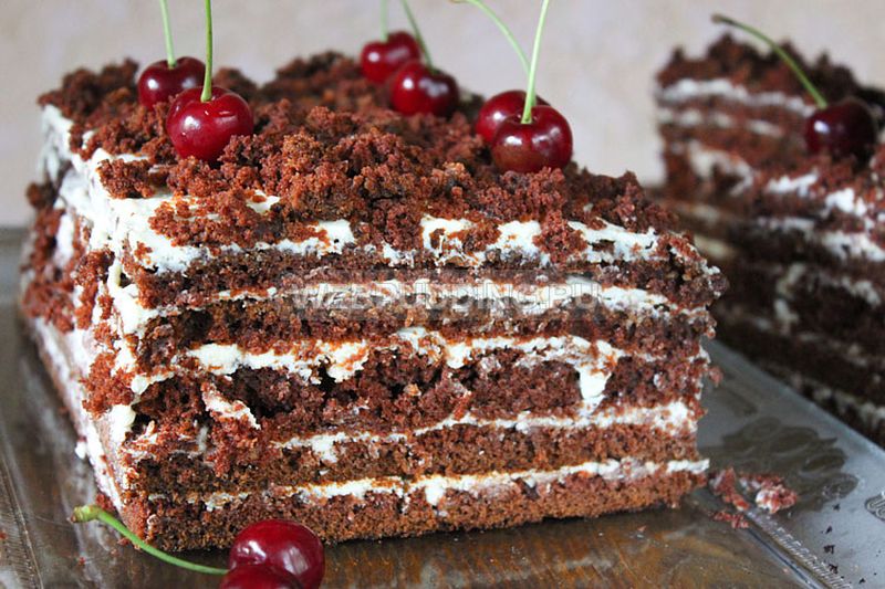 Bolo cozido de chocolate