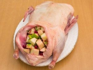 Pato de ano novo