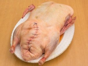 Pato de ano novo