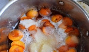 Compota de Damasco