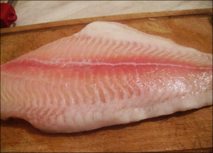 Geleia de peixe com caviar