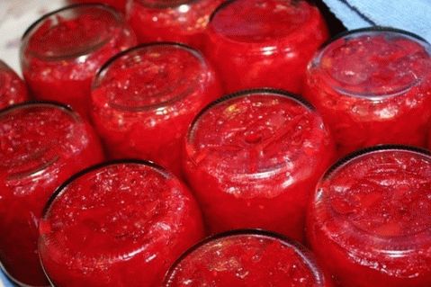 Borsch se vestindo para o inverno